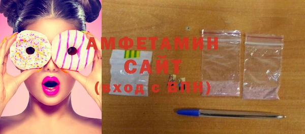 индика Абаза
