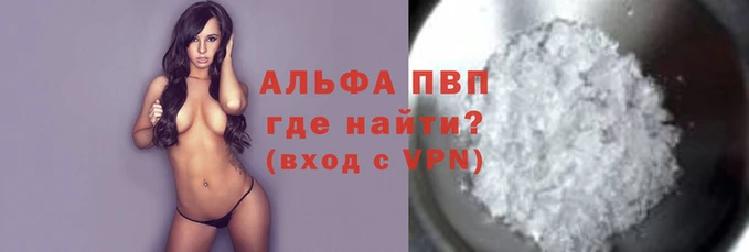 стафф Шадринск