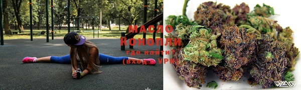 индика Абаза