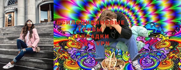 индика Абаза